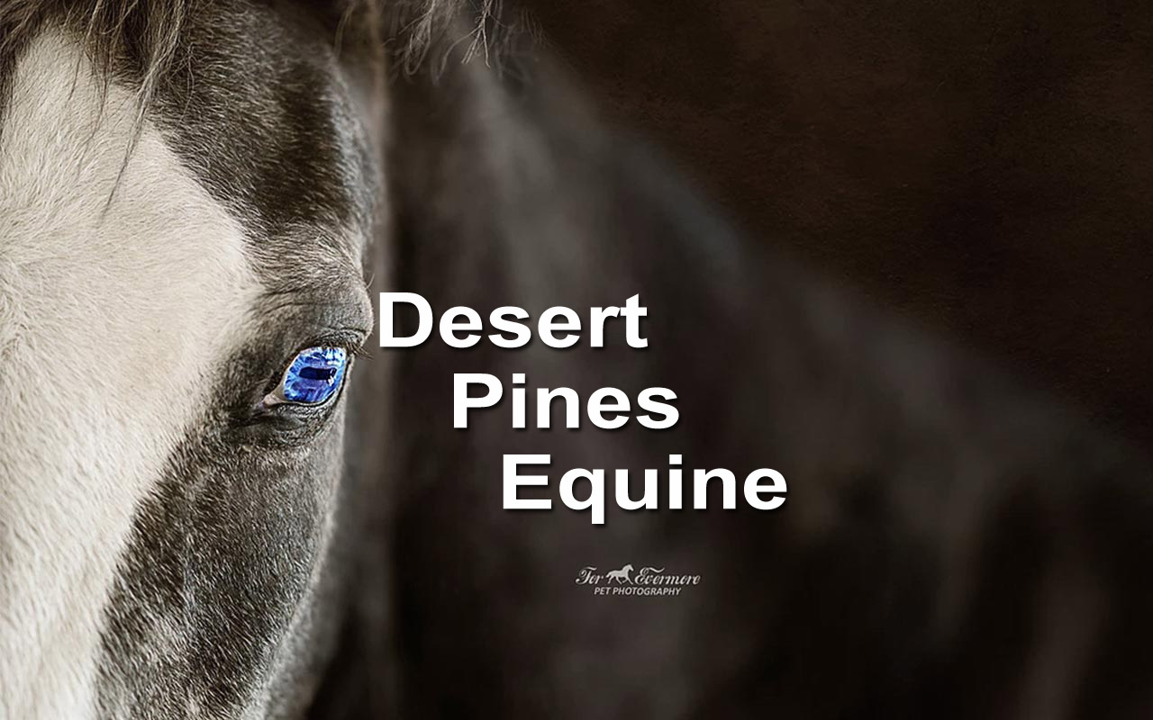 Desert Pines Equine Medical and Surgical Center